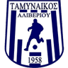 ФС Таминайкос Аливериу