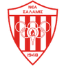 Неа Саламина Фамагуста