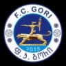 ФК Гори U19