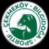 Чекмекёй Билгидога Спор
