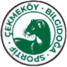 Чекмекёй Билгидога Спор