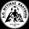 АО Митикас Каливион