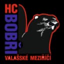 ХК Бобры Валашске Мезиричи