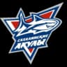 Сахалинские Акулы