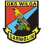 ГКС Вильга II Гарволин