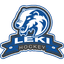 ХК Леки