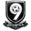 Девятка Ефремов