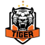 Тигр U15