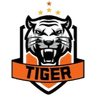 Тигр U15