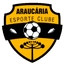 Араукария EC U14
