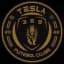 Тесла ФК