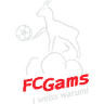 ФК Гамс