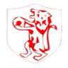 Коммерсиал ЭК U13