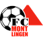ФК Монтлинген II