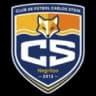 ФК Карлос Стейн
