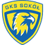 ГКС Сокол Лулевице