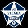 АС Стяуа 2018 Пригор