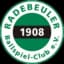 Радебойлер БК 08