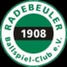 Радебойлер БК 08
