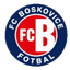 ФК Босковице