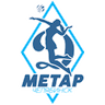 Динамо-Метар Челябинск