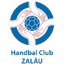 HC Залау