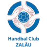 HC Залау