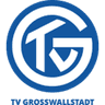 ТВ Гроссвальштадт