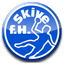 Скиве ФХ