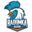 Радомка Радом