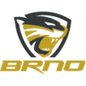 ВК Шелмы Брно