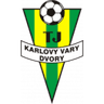 ТЖ Карловы Вары Дворы