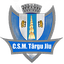 CSM Тыргу-Жиу J2