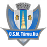 CSM Тыргу-Жиу J2