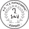 Г.С. Папасидирис