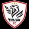 Фалкон ФК U20