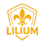 МФК Лилиум