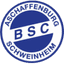 БСК Швайнхайм U19