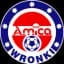 Амика Вронки
