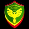 Амедспор Цюрих