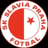 ФК Славия Карловы Вары Б