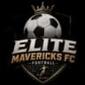 Элит Маверикс FC
