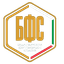 FC BFU Академия U14