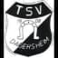 TSV Дагерсхайм