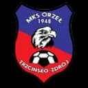 Орзел II Трцинско-Здрој