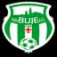 Буйе U19
