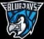 BLUEJAYS.de