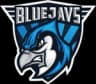 BLUEJAYS.de