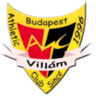 АК Виллам