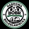 Бобер Дамброва Болеславьска